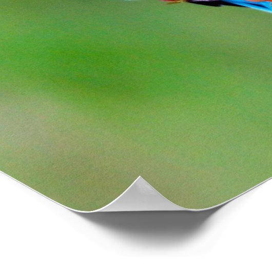 Poster Oiseau coloré (Coin)