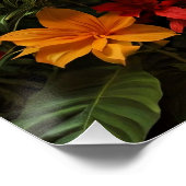 Poster Oiseau coloré Macaw (Coin)