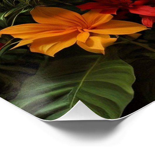 Poster Oiseau coloré Macaw (Coin)