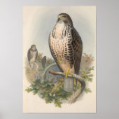 Poster Oiseau commun vintage (Devant)