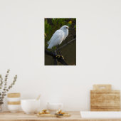 Poster Oiseau d'aigrettes de neige (Cuisine)