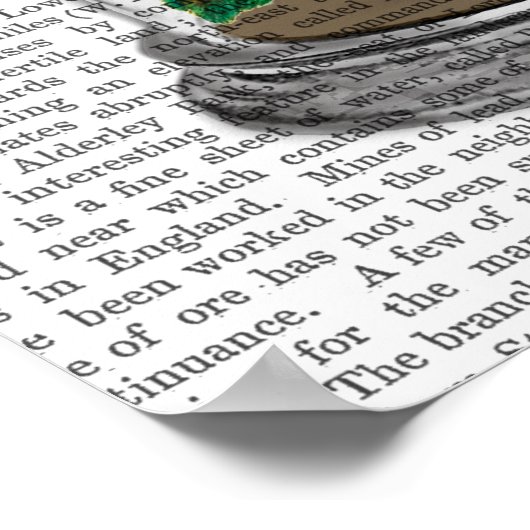 Poster Oiseau Dans Bell Jar (Coin)