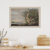 Poster Oiseau de Bécasseau à long bec Audubon (Cuisine)
