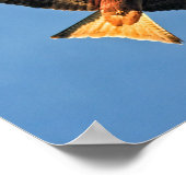 Poster Oiseau de cerf-volant de Prey (Coin)