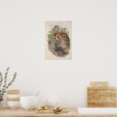Poster Oiseau de Chouette Brown vintage (Cuisine)