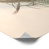 Poster Oiseau de Chouette-Hawk vintage (Coin)