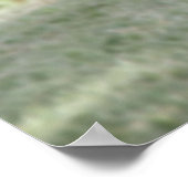 Poster oiseau de coureur dans le désert (Coin)