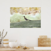 Poster oiseau de coureur dans le désert (Cuisine)