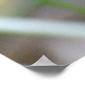 Poster Oiseau de faisan doré (Coin)