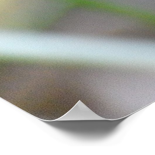 Poster Oiseau de faisan doré (Coin)