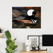 Poster Oiseau de fusil à capuchon (Bureau à domicile)