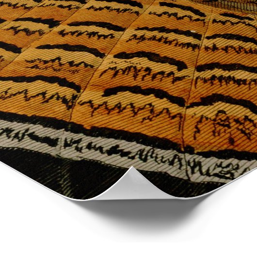 Poster Oiseau de gibier Audubon (Coin)