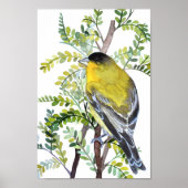 Poster Oiseau de Goldfinch dans le désert Aquarelle Art (Devant)