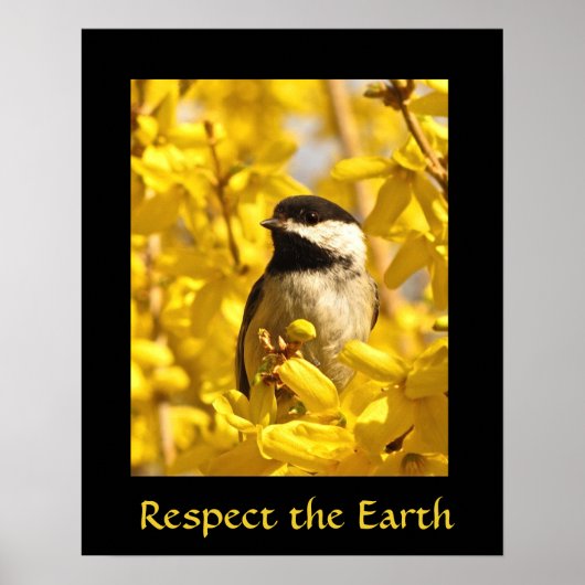 Poster Oiseau de jour des terres en fleurs jaunes Imprime (Devant)