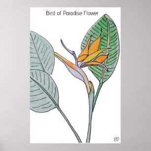 Poster Oiseau de la Fleur du Paradis