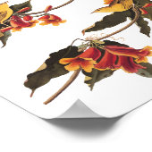 Poster Oiseau de la Paruline de Rathbone sur crossvine (Coin)