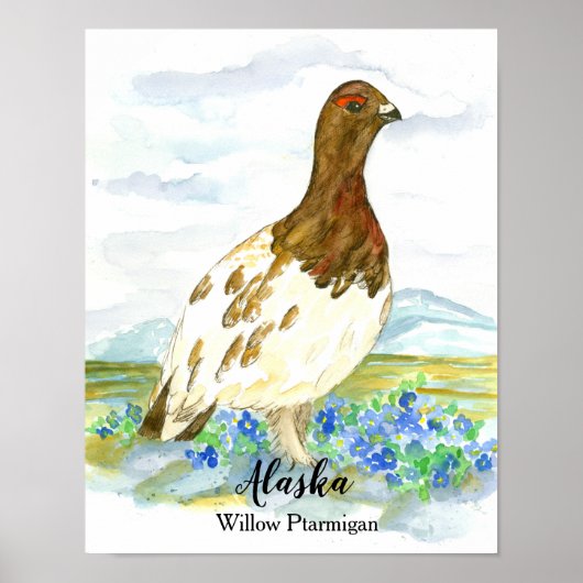 Poster Oiseau de l'Alaska Willow Ptarmigan (Devant)