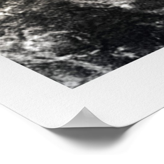 Poster Oiseau de Lascaux (Coin)