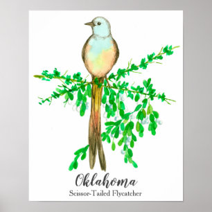 Poster Oiseau de l'État de l'Oklahoma ciseau à queue plat