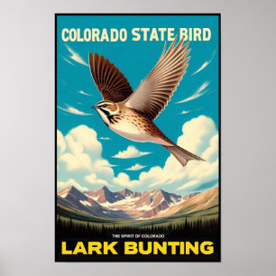 Poster Oiseau de l'État du Colorado - Bruant sauterelle V