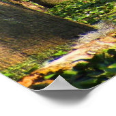 Poster Oiseau de Louisiane dans un marécage (Coin)