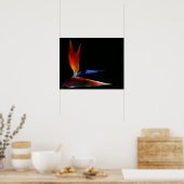 Poster oiseau de paradis (Cuisine)