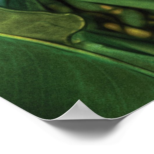 Poster Oiseau de paradis (Coin)