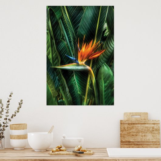 Poster Oiseau de paradis (Cuisine)