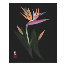 Oiseau de Paradis de Minuit Art