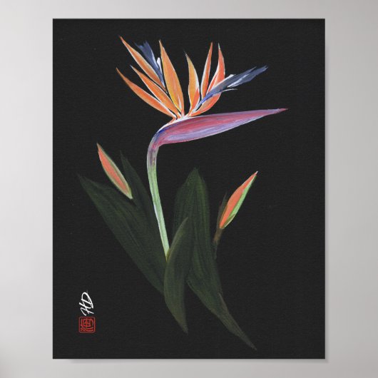 Poster Oiseau de Paradis de Minuit Art (Devant)