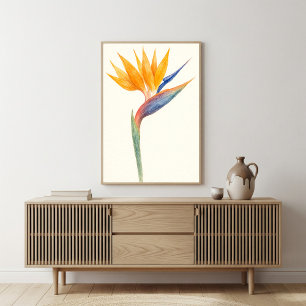 Poster Oiseau de Paradise