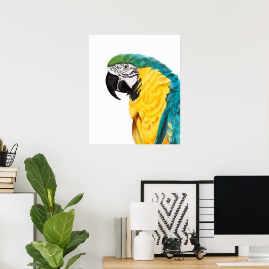 Poster Oiseau de perroquet tropical (Bureau à domicile)