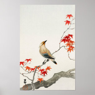 Poster Oiseau de peste sur l'érable par Ohara Koson