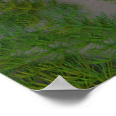 Poster Oiseau de pluie Imprimer (Coin)