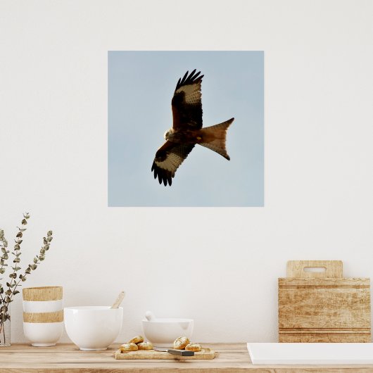 Poster oiseau de proie (Cuisine)