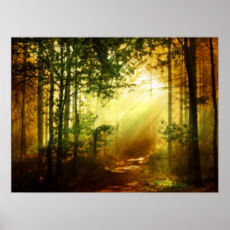 Poster Oiseau de soleil