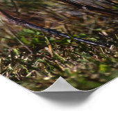 Poster Oiseau d'eau du Grand Héron Bleu (Coin)