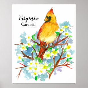 Poster Oiseau d'État de Virginie Femme Cardinal Aquarelle