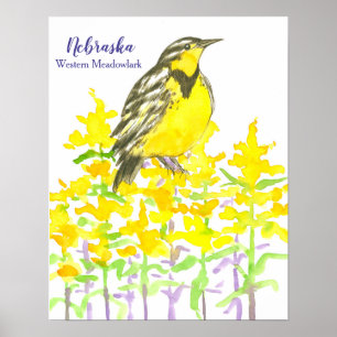 Poster Oiseau d'État du Nebraska Ouest Meadowlark