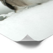 Poster Oiseau d'hiver (Coin)