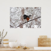 Poster Oiseau d'hiver dans la neige (Cuisine)