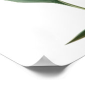 Poster Oiseau du dessin du paradis (fleur) (Coin)