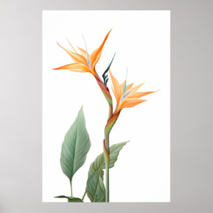 Poster Oiseau du dessin du paradis (fleur)