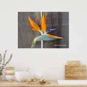 Poster Oiseau du Paradis (Cuisine)