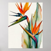 POSTER OISEAU DU PARADIS (Devant)