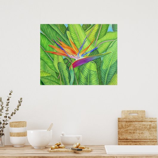 Poster Oiseau du Paradis (Cuisine)