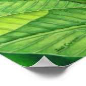 Poster Oiseau du Paradis (Coin)