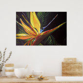 Poster Oiseau du Paradis (Cuisine)
