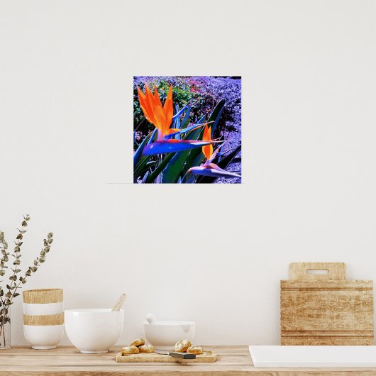 Poster Oiseau du Paradis Hawaï (Cuisine)