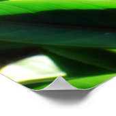 Poster Oiseau du Paradis Imprimer (Coin)